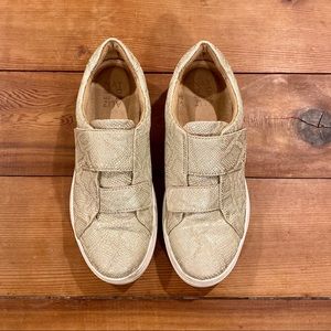 Naturalizer Charlie Velcro Snake Slip-on Sneaker